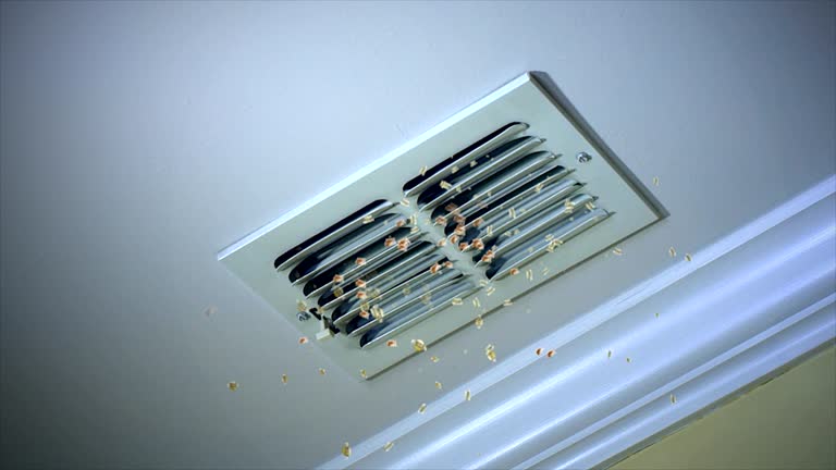 Best Best Air Duct Cleaning Company  in Wood River, IL